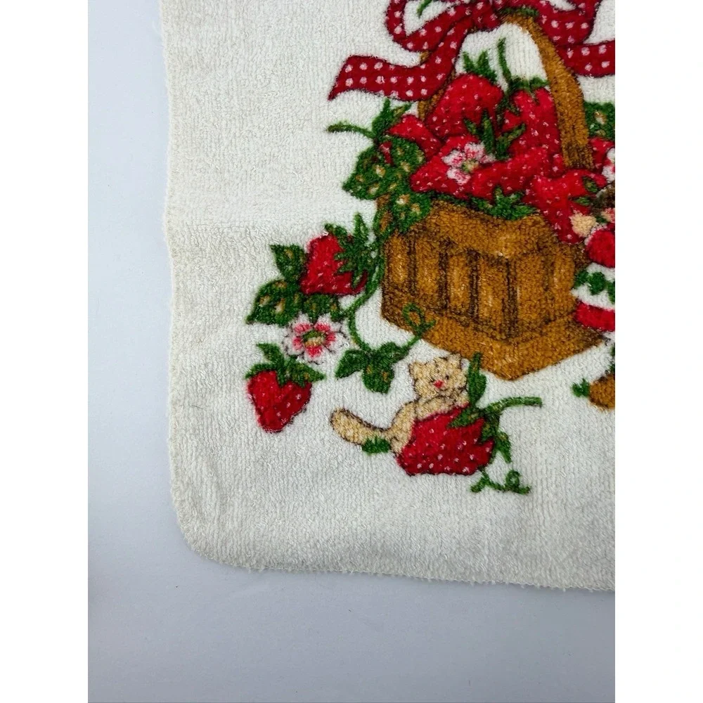 Vintage Strawberry Shortcake Washcloth Cloth 1980 American Greetings (2 pc)